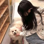 龙之逆手游官方