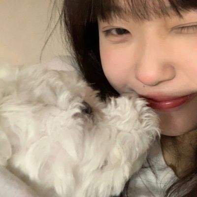 宠物高校3手机版下载